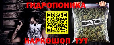 шишки Бузулук