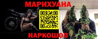 шишки Бузулук