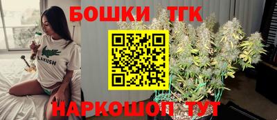 МДПВ Сланцы