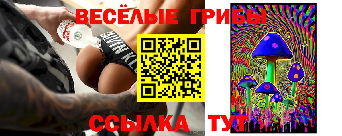 Псилоцибиновые грибы Psilocybe Нижний Новгород