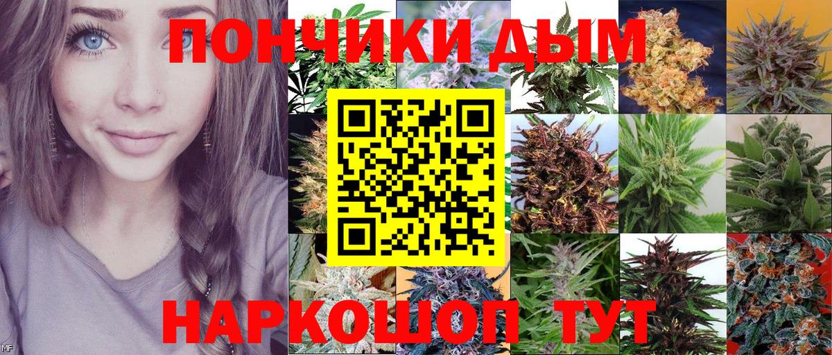 Канабис планчик  Каннабис VHQ  Нижний Новгород  Вход с VPN  Бошки Шишки Amnesia 